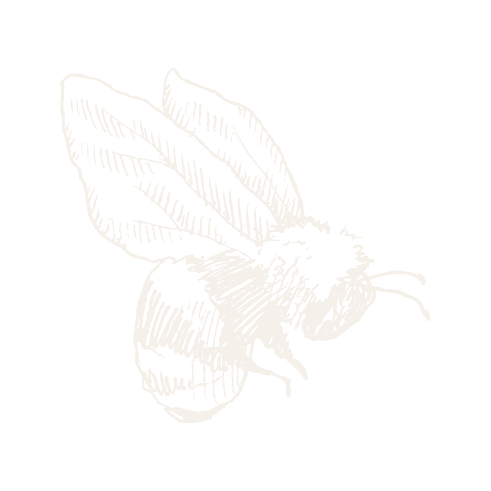 Maison-De-Miel-Website_Bee_WeatheredLinen